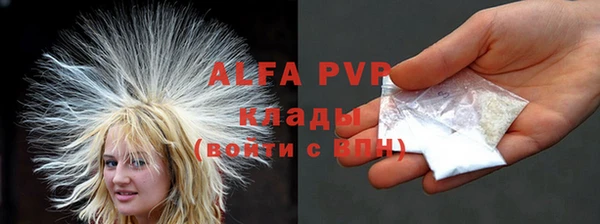 трава Аркадак