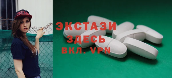 хмурый Пересвет