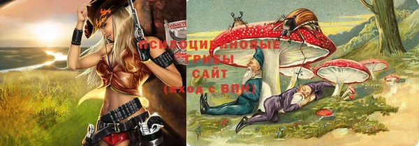 бошки Армянск