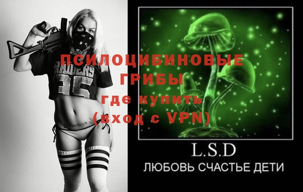 трава Аркадак