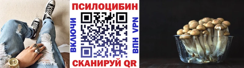 купить наркотики сайты  Покровск  darknet клад  Галлюциногенные грибы мухоморы 