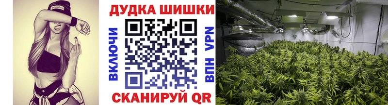 Бошки Шишки марихуана  Покровск 